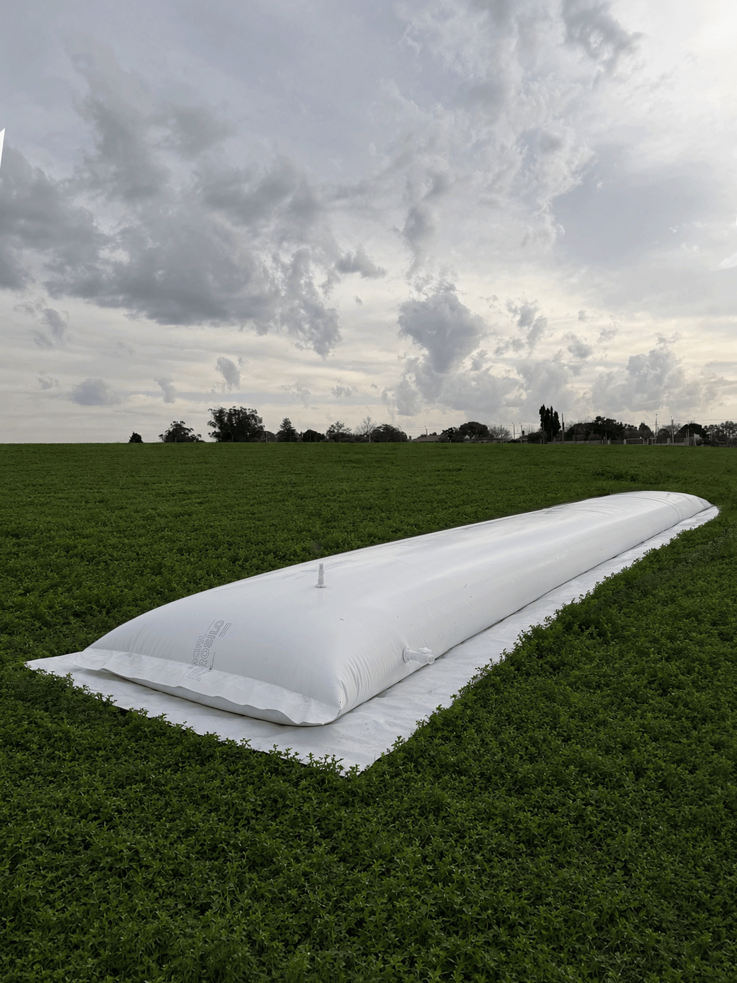 Hidrosilo Pacifil de 15.000 litros instalado en campo