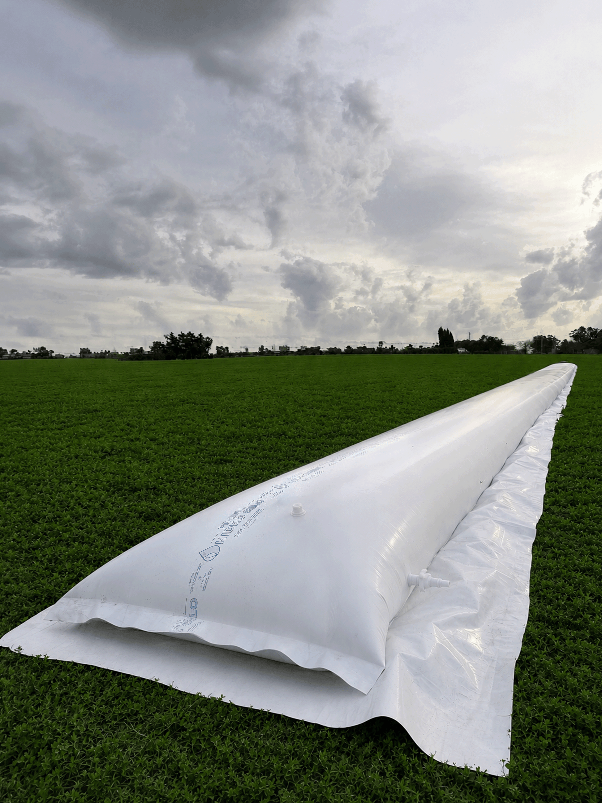 Hidrosilo Pacifil de 50.000 litros instalado en campo